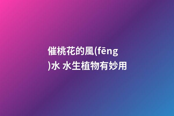 催桃花的風(fēng)水 水生植物有妙用